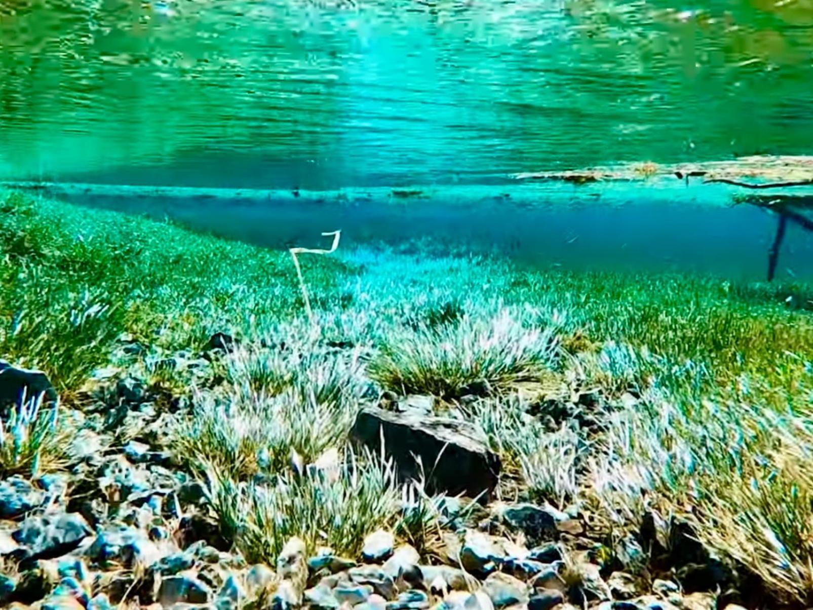 Gruener See Exklusiv Oberort Kültér fotó